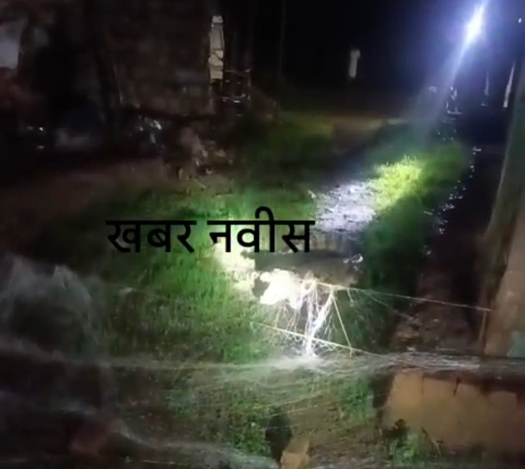 रामनगर से मगरमच्छ का वन विभाग की टीम ने किया रेस्क्यू