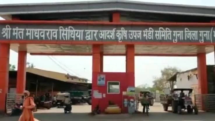 कार्यालय कृषि उपज मण्डी गुना,आज का मंडी भाव