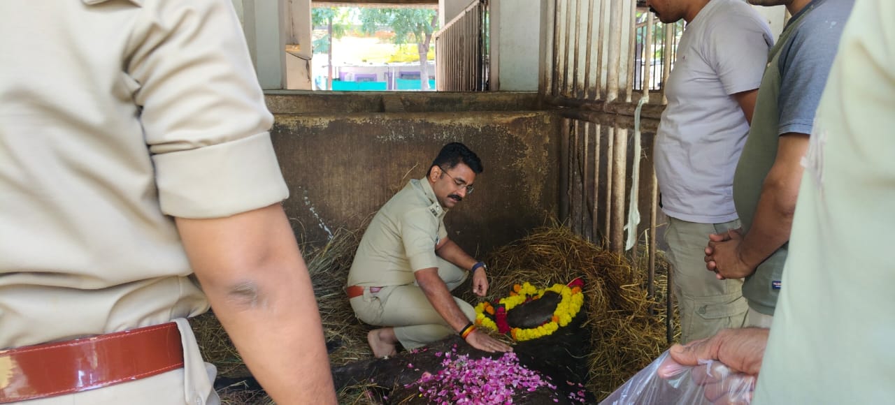 नोटिबोय के निधन की सूचना मिलते ही उज्जैन एसपी प्रदीप शर्मा पुलिस लाइन पहुँचे और उन्होंने भावपूर्ण श्रद्धांजलि अर्पित की।