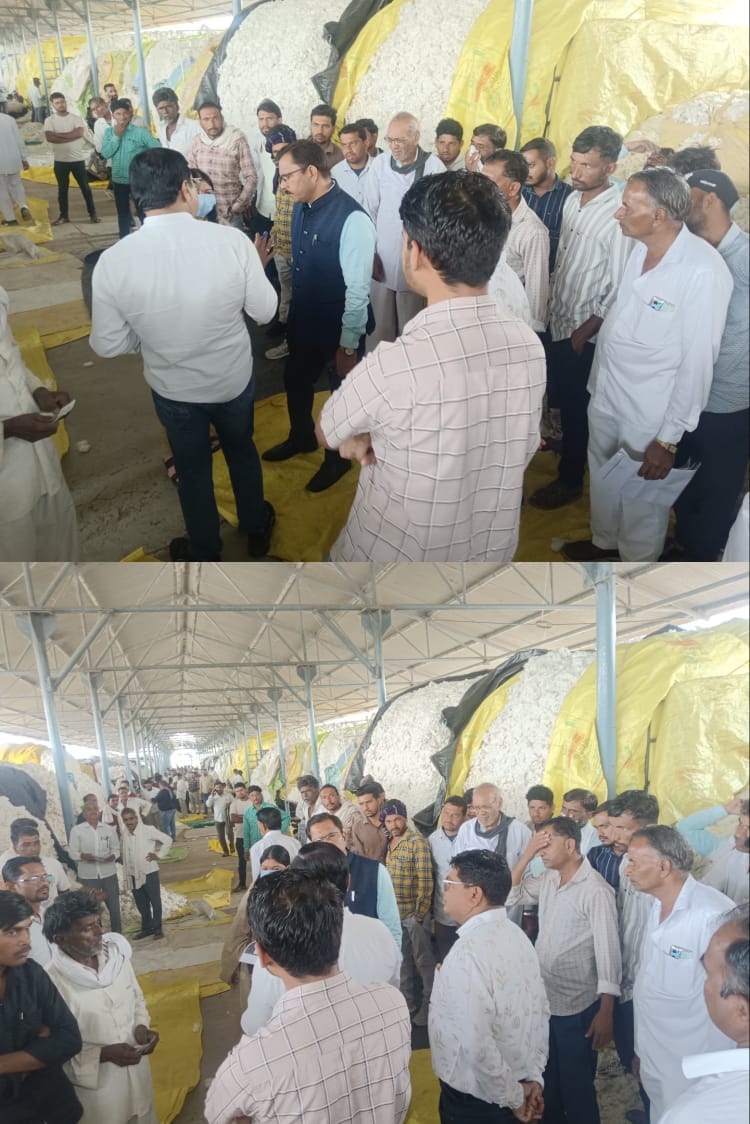 सी.सी.आई. द्वारा अब कपास खरीदी कृषक के उत्पादन अनुसार की जायेगी