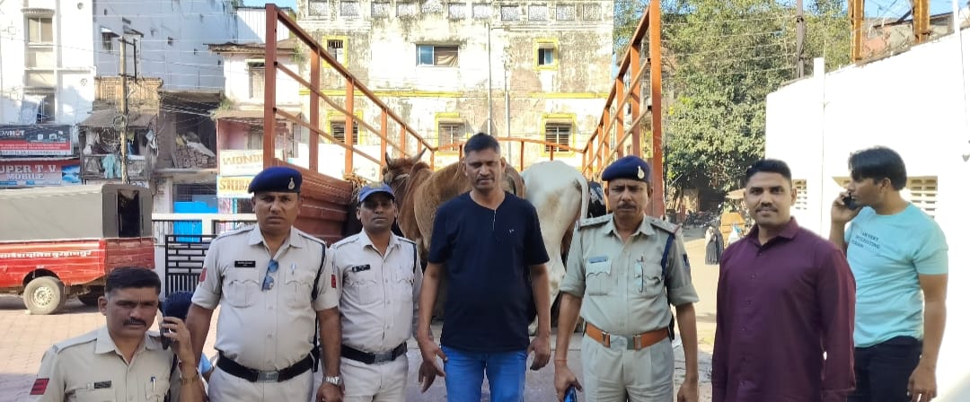 .अवैध गौवंश तस्करो के विरुद्ध थाना कोतवाली की प्रभावी कार्यवाही।गौवंश को क्रूरतापूर्वक हाँकते हुए वध हेतू ले जा रहे आरोपी को पुलिस टीम में घेराबंदी कर पकड़ा